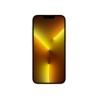 iPhone 13 Pro Max 1TB GoldMLLM3QL/A