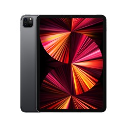 iPad Pro 11 Wi Fi Zellulär 1TB GrauMHWC3TY/A