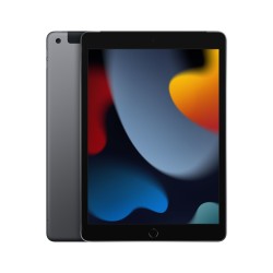 iPad 10.2 Wifi Zellulär 256GB Grau