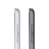 iPad 10.2 Wifi Zellulär 256GB Silber