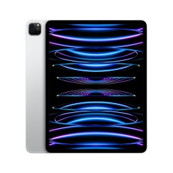 iPad Pro 12.9 Wifi Zellulär 128GB Silber