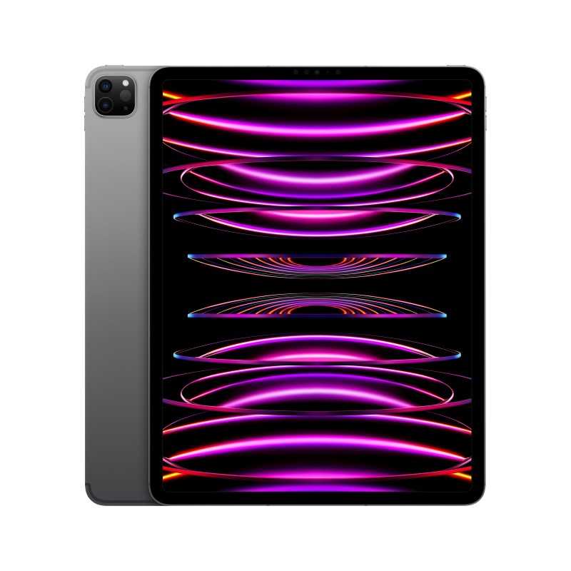 iPad Pro 12.9 Wifi Zellulär 256GB Grau