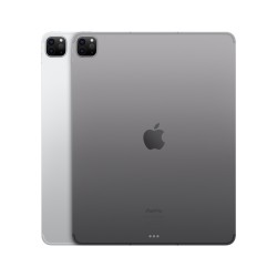 iPad Pro 12.9 Wifi Zellulär 256GB Silber