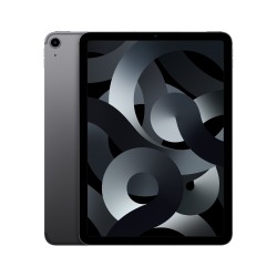 iPad Air 10.9 Wifi Zellulär 256GB Grau