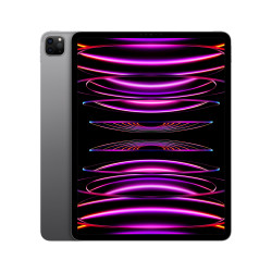 🛒 Kaufen Sie iPad Pro 12.9 Wifi 1TB Grau 