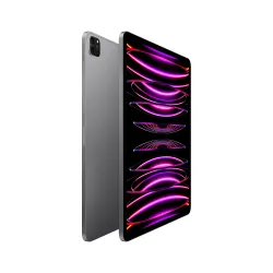 iPad Pro 12.9 Wifi 1TB Grau | ShopDutyFree.de 2
