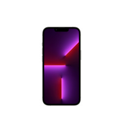 🛒 Kaufen Sie iPhone 13 Pro 256GB Graphite 