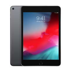 🛒 Kaufen Sie iPad mini WiFi 256GB Space Grey 