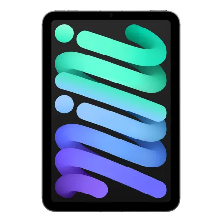 iPad mini WiFi Cell 128GB Space Grau