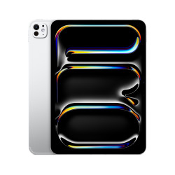 🛒 Kaufen Sie iPad Pro 11 M5 Wi-Fi Cell 1TB Nanotexturglas Silber 