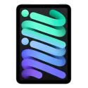 iPad mini WiFi Cell 512GB Space Grau
