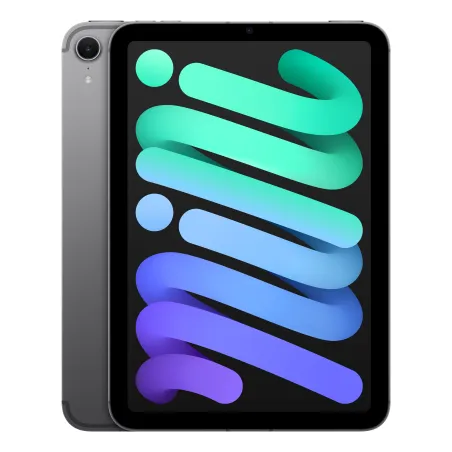 iPad mini WiFi Cell 512GB Space Grau