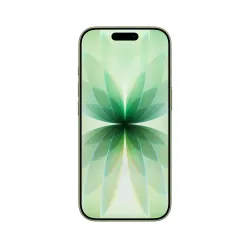 🛒 Kaufen Sie iPhone 17 256 GB Salbeigrün  2