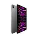 iPad Pro 12.9 Wifi 1TB Grau