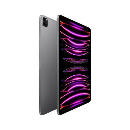 iPad Pro 12.9 Wifi 1TB Grau